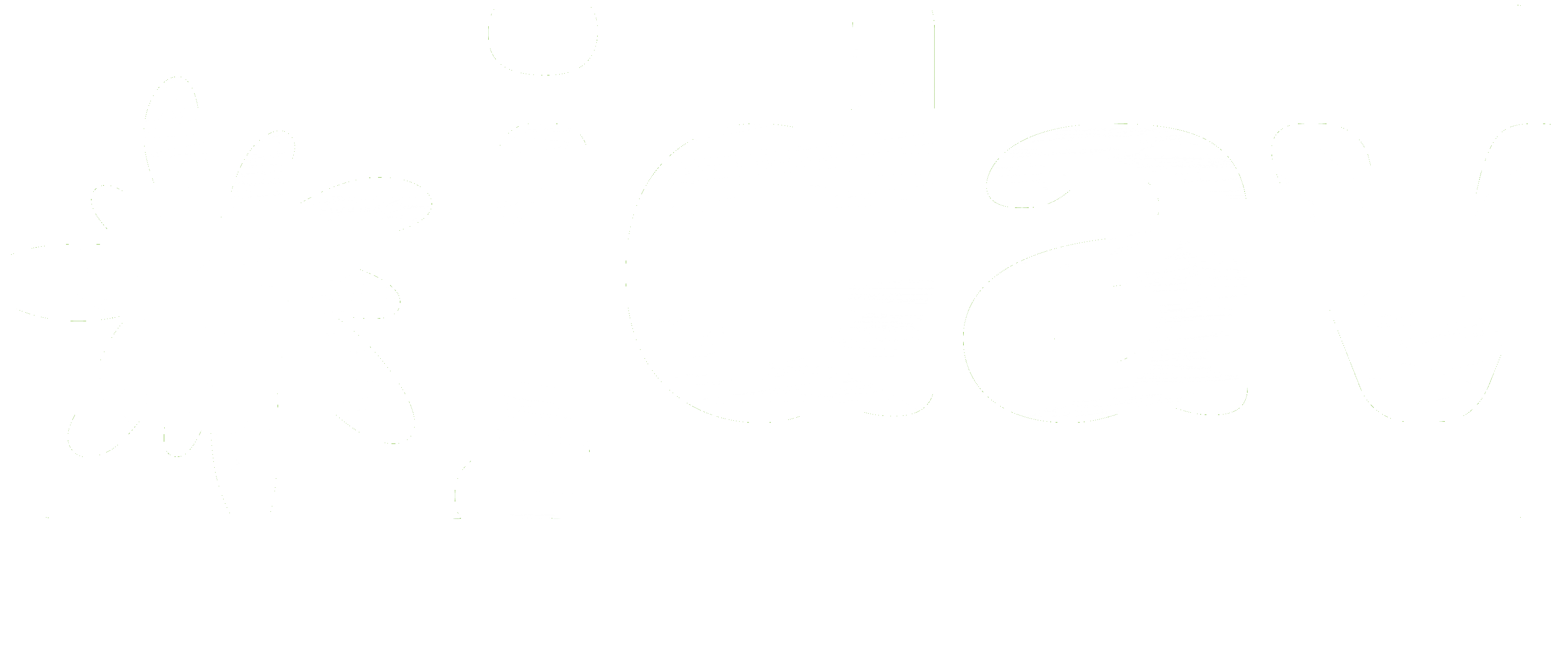 Your Company Name